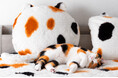累計販売3.8万突破の『もはや、ねこ。』に“三毛猫”登場！白・黒・オレンジの模様や暖かさまで、本気で猫らしさを追求