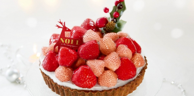 ア ラ カンパーニュ まさに四ツ星級 希少な２種のイチゴを使用したクリスマスケーキの予約受付が開始 株式会社ハットトリックのプレスリリース
