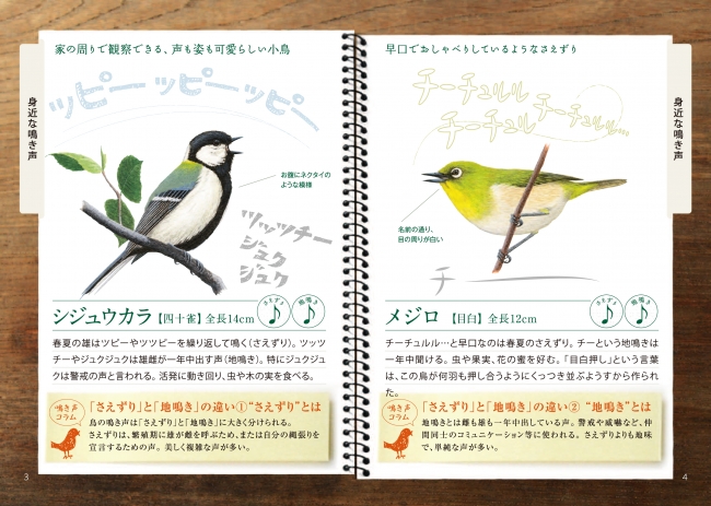 5 10 16はバードウィーク 愛鳥週間 気になるあの鳥がわかる 日本野鳥の会オリジナル小冊子 鳴き声ノート 無料プレゼント 日本野鳥の会のプレスリリース