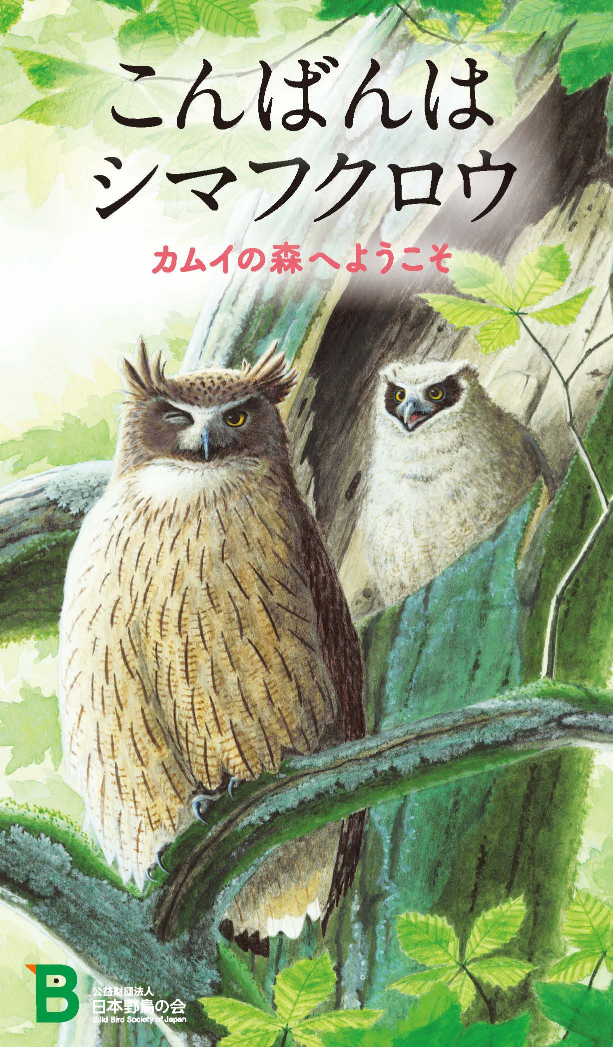 絶滅危惧種シマフクロウを知るための小冊子 こんばんはシマフクロウ 無料プレゼント 日本野鳥の会のプレスリリース