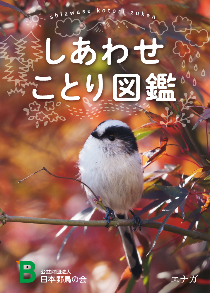 カワセミ フィギュア 人感センサー 小鳥日和 野鳥の森☆タカラ - その他