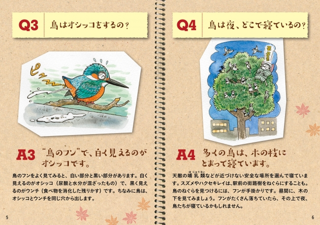 日本野鳥の会 オリジナル小冊子 なぜカルガモは引っ越しするの 鳥のふしぎ相談室 無料プレゼント 日本野鳥の会のプレスリリース