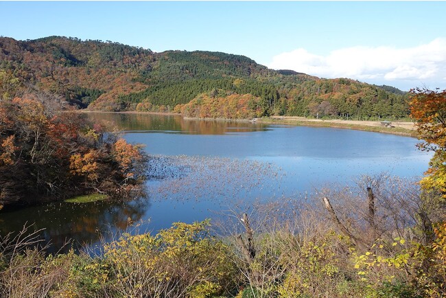 ラムサール条約湿地の大山上池・下池。 写真は下池。（写真／日本野鳥の会山形県支部）