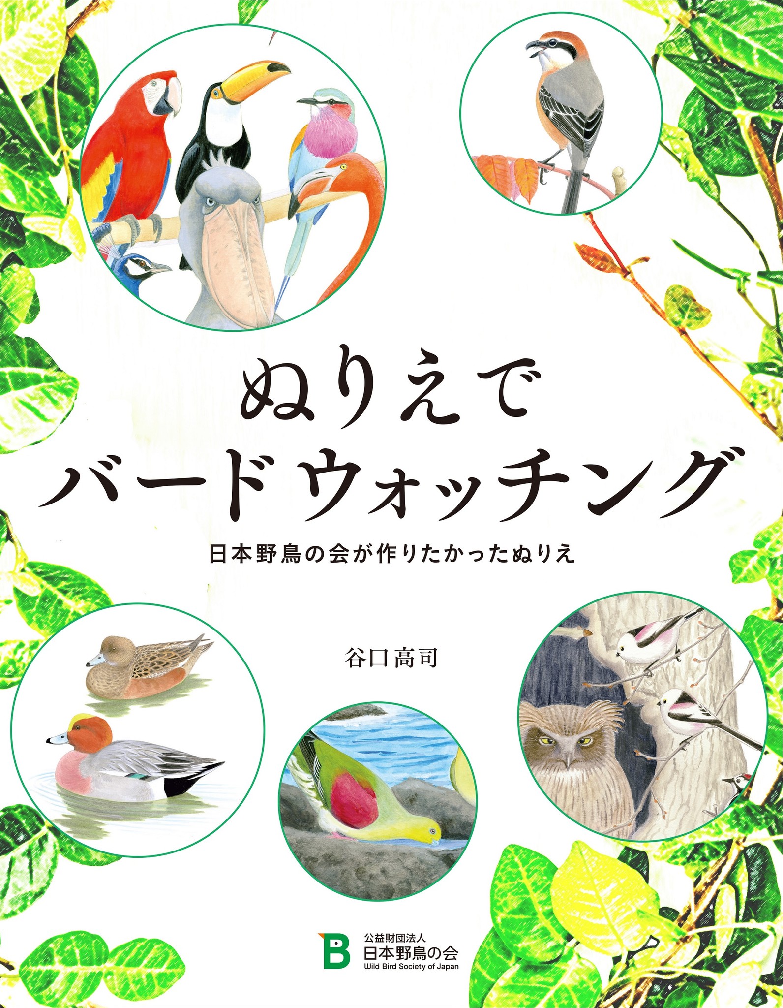 えっ こんな色の野鳥がいるの 野鳥を身近に感じる ぬりえ本 バードウィーク 愛鳥週間5月10日 16日 に発売 日本野鳥の会のプレスリリース