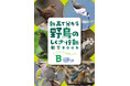 日本野鳥の会 新パンフレット『動画で分かる野鳥のしぐさ・行動観察BOOK』を無料プレゼント！