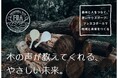 日本フレスコボール協会公認地域クラブ「FRESCOBALL ALPS」（長野県駒ヶ根市）が、『森と人の新しい関係を築くフレスコボールラケットづくり』をテーマにクラウドファンディングをスタート。