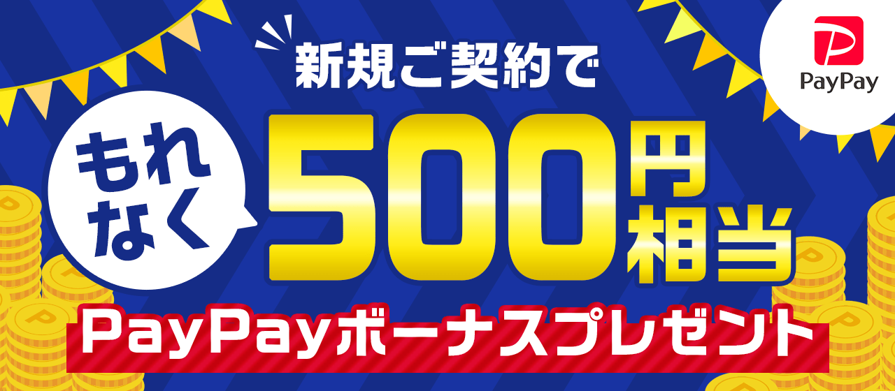 Paypay 銀行 カード ローン