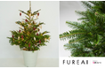～返却可能でサステナブルに楽しむクリスマス～シンボルツリーとしても長い年月を共に過ごせる上質な“もみの木”を通販サイトFUREAIより販売