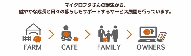 mipigサービス概要 mipigサービス概要