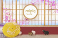 浅草エリア初のマイクロブタカフェ“mipig cafe” 浅草店が本日3/19にオープン