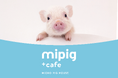累計20店舗目!マイクロブタカフェ『mipig cafe』横浜と栃木に新たな2店舗をオープン予定