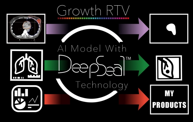 DeepSeal識別保護技術