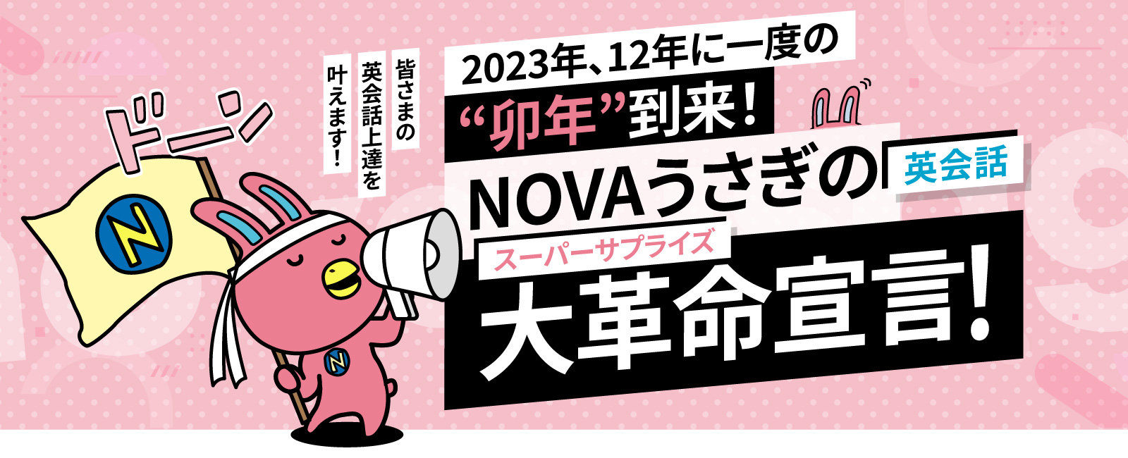 NOVAうさぎ 何年？