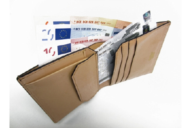 BRIDLE MISTO Bi-fold Wallet　with Coin Pocketダヴィンチ ファーロ　Davinci FARO