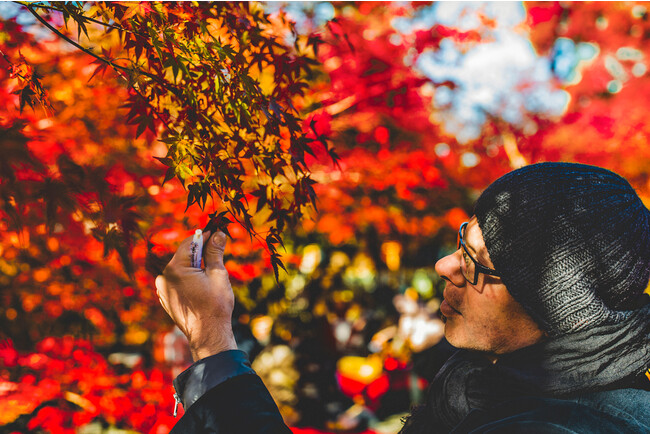 LELISIR caede京都 Art Directorガブリエール LELISIR caede京都 Art Directorガブリエール