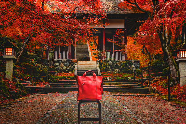 LELISIRcaede京都 LELISIRcaede京都