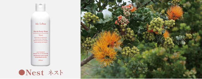 alaLehua