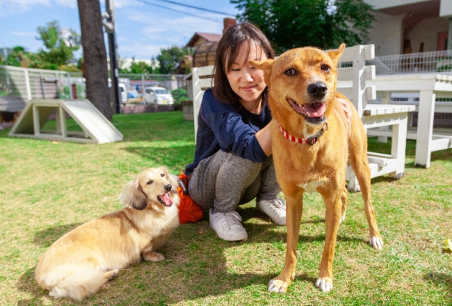 アプルール秦野 8月8日に老犬ホーム併設の施設として移転リニューアルオープン 株式会社アプルールのプレスリリース