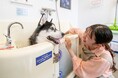 近鉄不動産株式会社が展開するセルフ式ドッグスパ「K・DogSpa(ケイ・ドッグスパ)」事業への参画について