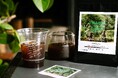 ECHO COFFEE 第三弾、本日6月8日（月）より販売スタート。― 千の丘から届く、綺麗な果実味と作り手の気配『Rwanda Kilimbi Natural』 ―