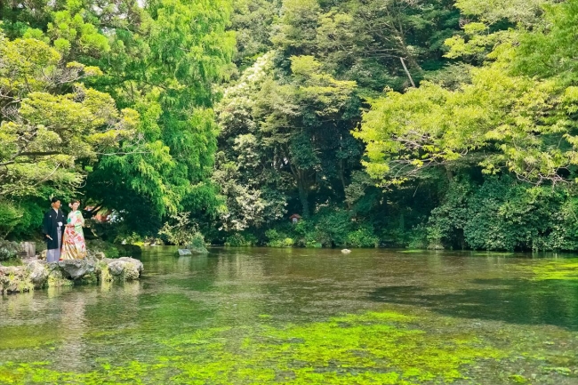 富士山がもたらす豊かな水と緑もまた静岡らしい景観