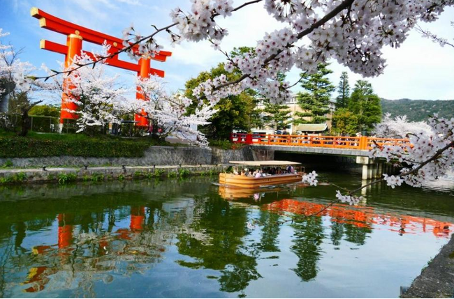 【ダーワ・悠洛 京都】京都・岡崎エリアの桜を満喫 岡崎桜回廊十石舟めぐり付き宿泊プラン発売