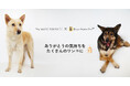 保護犬支援の新しいカタチ。シャンプー寄附とモデル撮影で結ぶ「ありがとう」プロジェクト開始