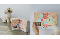 愛犬との“特別な時間”を彩る、贈り物。『Happy Bath BOX』がThe Mate Tokyoから新登場