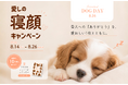 The Mate Tokyo、国際犬の日に合わせて愛犬の寝顔を募集する「愛しの寝顔キャンペーン」を8月14日より開催
