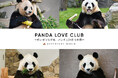 PANDA LOVE CLUB ー想いがつながる、パンダLOVEな時間ー “ありがとう”と“大好き”が広がる、パンダファンとスタッフのクラブ活動がスタート!