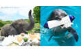 敬老の日イベント開催!開園当初から47年間暮らすアフリカゾウ、国内最高齢のイルカにプレゼント