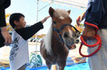 “ありがとう”からはじまる、人と動物の未来へ 和歌山県馬事畜産振興協議会・公益社団法人和歌山県獣医師会主催 「2025動物感謝デーinわかやま」に協賛およびブース出展します