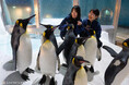 アドベンチャーワールドでしか体験できない「極地探検ツアー ～penguin nice to meet yotour～」誕生