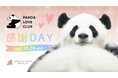 休園日特別開放「PANDA LOVE CLUB 感謝DAY」開催！彩浜モチーフの福を招く「招きパンダ」お披露目＆イラストレーター福田利之氏が来園