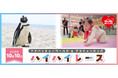 １０月１０日「赤ちゃんの日」　ペンギンのよちよち歩きが開会宣言！？「アドベンチャーワールド＆アカチャンホンポ」ハイハイレース初開催！～アニマルウェアを着た赤ちゃん２５組が大奮闘～