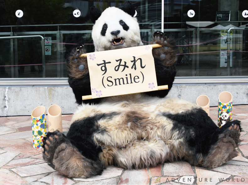 未来のsmileを創る ジャイアントパンダキャラクターの名前が すみれ Smile に決定しました アドベンチャーワールドのプレスリリース