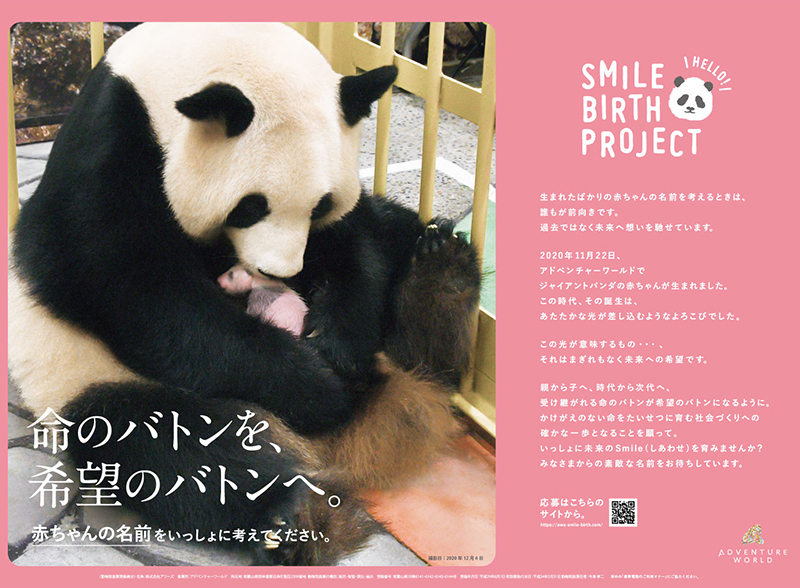 Smile Birth Project 命のバトンを 希望のバトンへ ジャイアントパンダの赤ちゃんの名前を募集いたします ２０２０年１２月２４日 木 ２０２１年２月２３日 火 アドベンチャーワールドのプレスリリース
