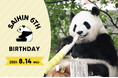 「HAPPY PANDA ３０th」 日中共同繁殖研究３０周年記念企画ジャイアントパンダ「彩浜（さいひん）」６歳の誕生会「彩浜」の命名者から抽選で３０名様をご招待！日程：２０２４年８月１４日（水）