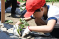 今年で3回目!動物たちと食育体験 周参見小学校の児童がサツマイモの植え付けを体験 秋には収穫しパークの動物たちへプレゼント