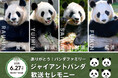 ありがとう!パンダファミリー「良浜」「結浜」「彩浜」「楓浜」2025年6月27日(金)歓送セレモニーの詳細をお知らせします