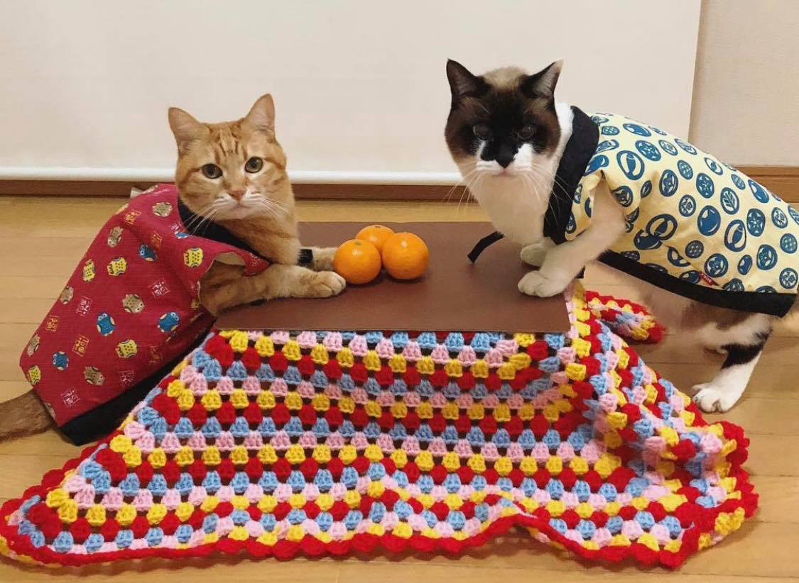 ラインナップ ビット 路地 こたつ みかん ニャー Nails Maga Jp