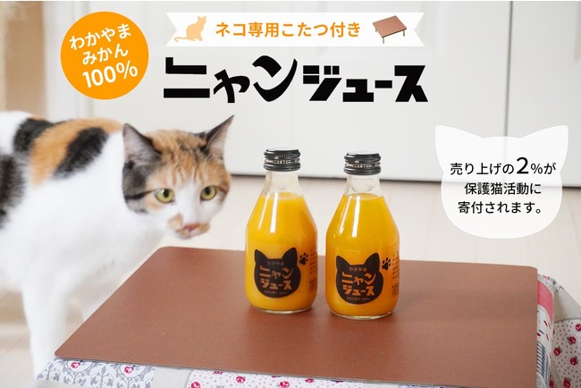 廃棄するなんてもったいニャい！そんな想いから企画した、猫専用こたつ