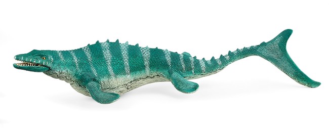 モササウルス 　後期白亜紀の海に生息していた大型の水生爬虫類