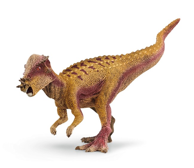 パキケファロサウルス　ドーム型の頭がい骨とごつごつとした突起がトレードマークの”石頭恐竜”