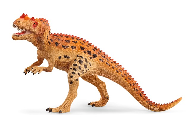 ケラトサウルス  目の近くにある2つのこぶと鼻の大きな角が特徴