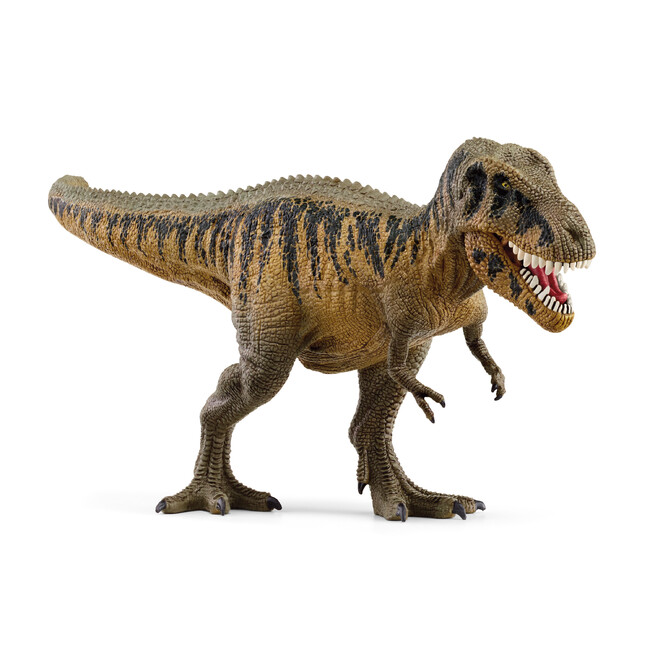 「アジアのティラノサウルス」の異名を持つタルボサウルス
