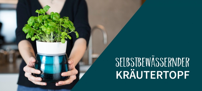新商品 誰もが簡単に植物育てのプロになれる ドイツ発 魔法の自動給水ポットlivana Fulycaのプレスリリース