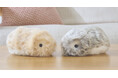 飼い主になつく癒しのAIペットロボット“Moflin”