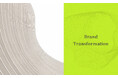 DMN会員プログラム『Brand Transformation』を開催いたします