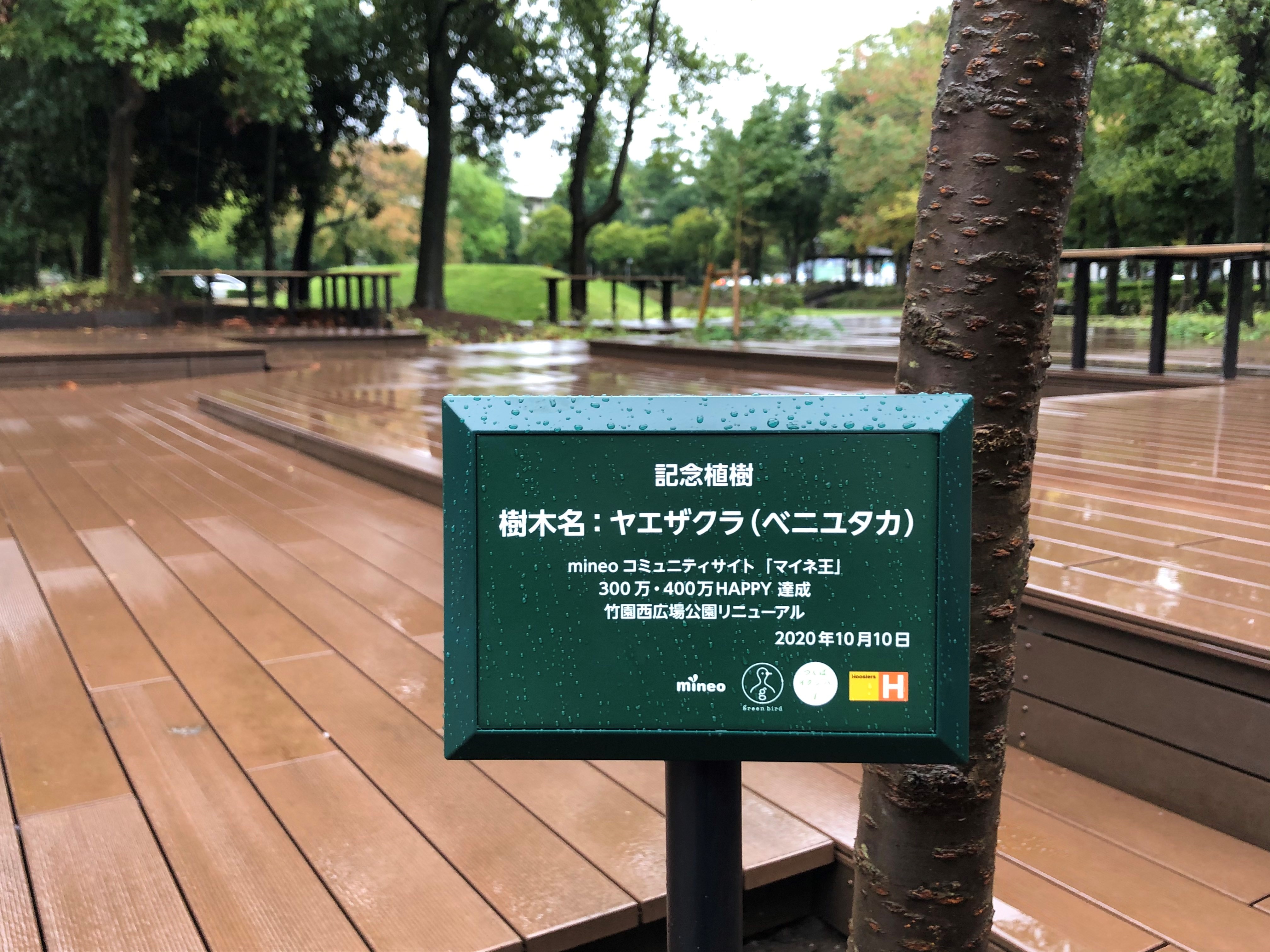 第3回mineo Green Project をつくば市竹園西広場公園で開催 認定npo法人 グリーンバードのプレスリリース
